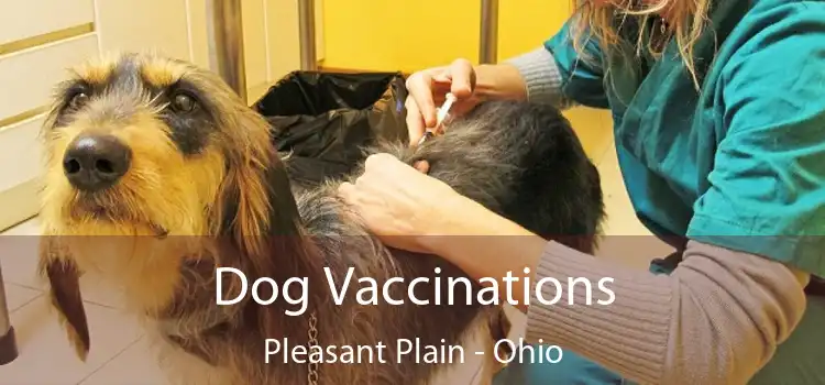 Dog Vaccinations Pleasant Plain - Ohio