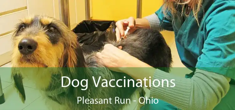 Dog Vaccinations Pleasant Run - Ohio