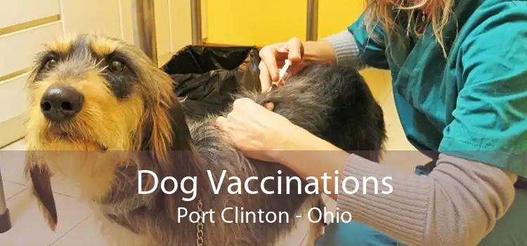 Dog Vaccinations Port Clinton - Ohio
