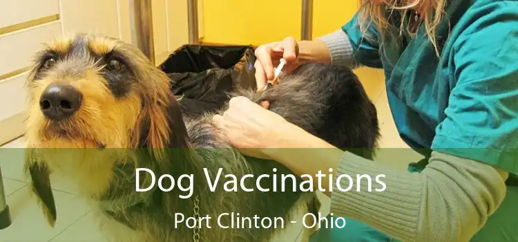 Dog Vaccinations Port Clinton - Ohio