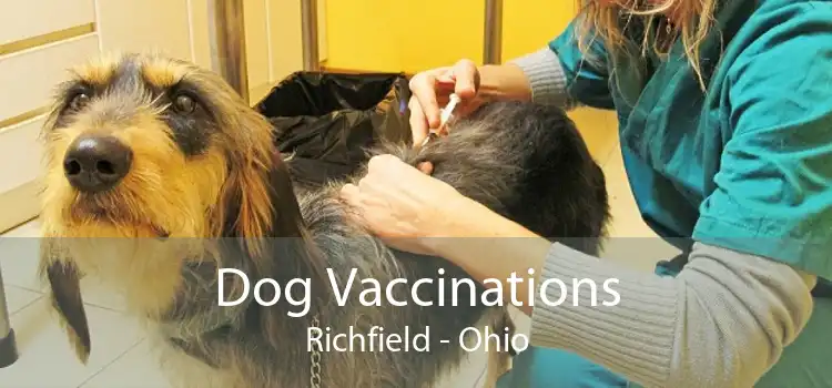 Dog Vaccinations Richfield - Ohio
