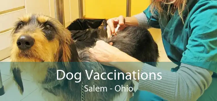Dog Vaccinations Salem - Ohio