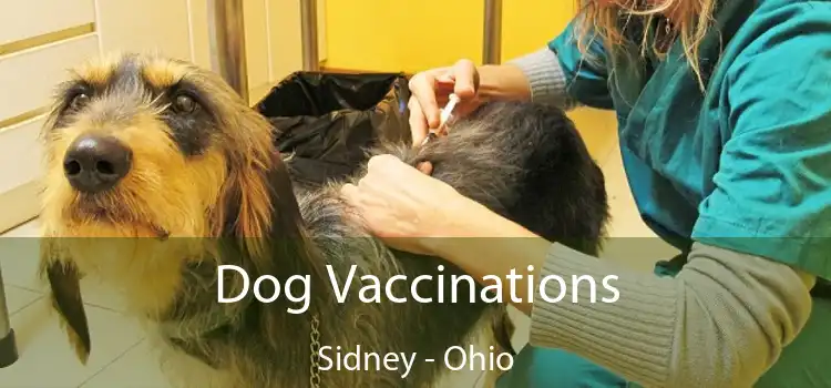 Dog Vaccinations Sidney - Ohio