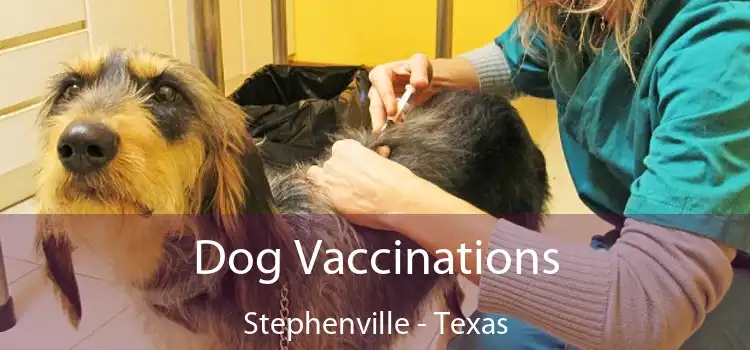 Dog Vaccinations Stephenville - Texas