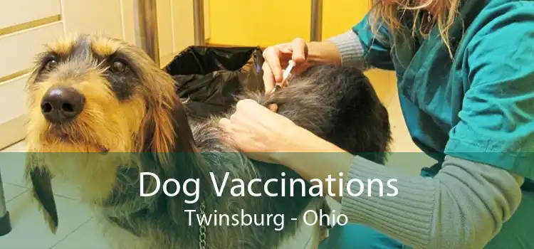 Dog Vaccinations Twinsburg - Ohio