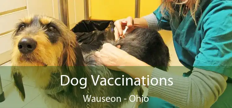 Dog Vaccinations Wauseon - Ohio