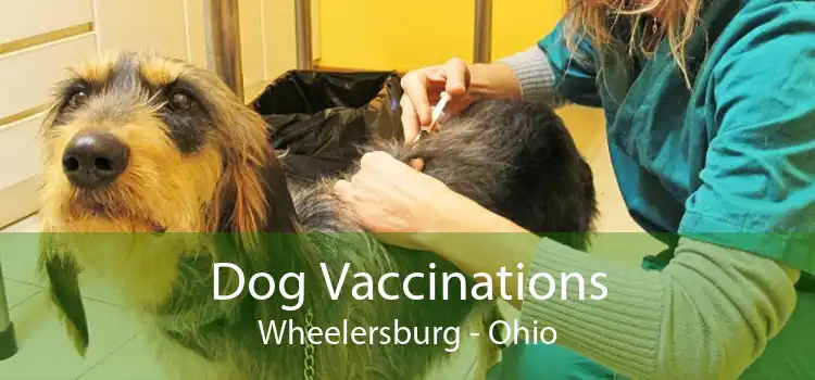 Dog Vaccinations Wheelersburg - Ohio