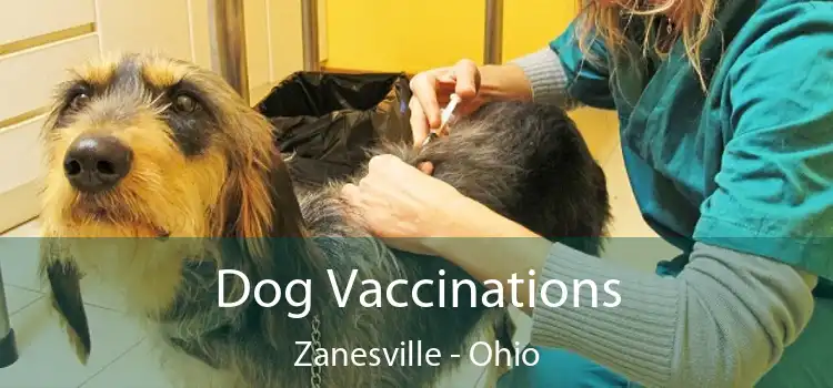 Dog Vaccinations Zanesville - Ohio