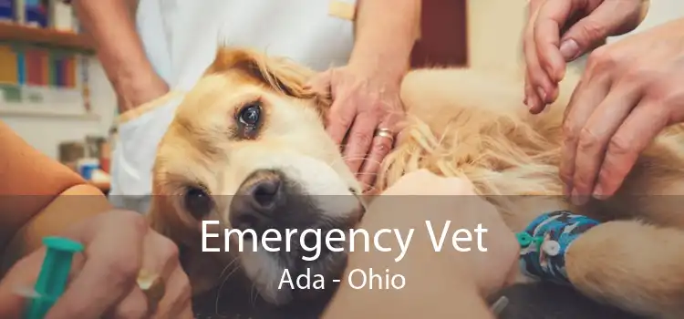 Emergency Vet Ada - Ohio