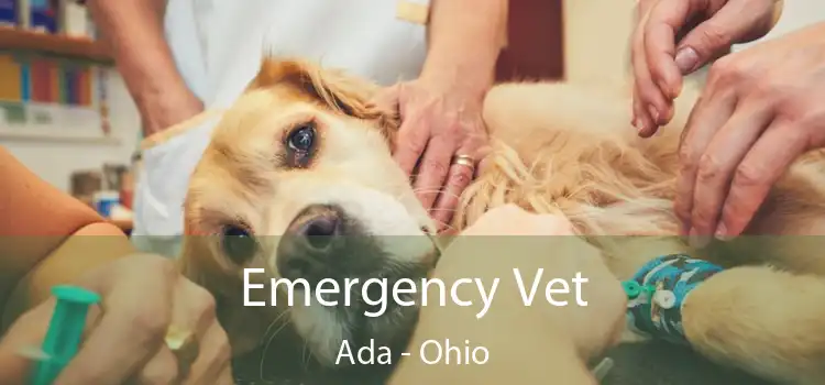 Emergency Vet Ada - Ohio