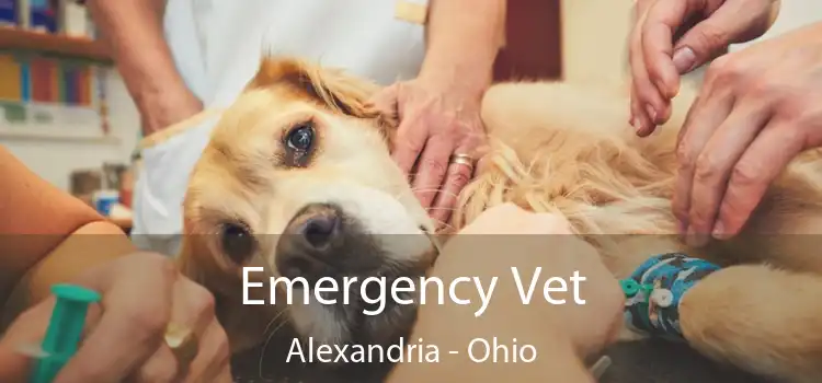 Emergency Vet Alexandria - Ohio