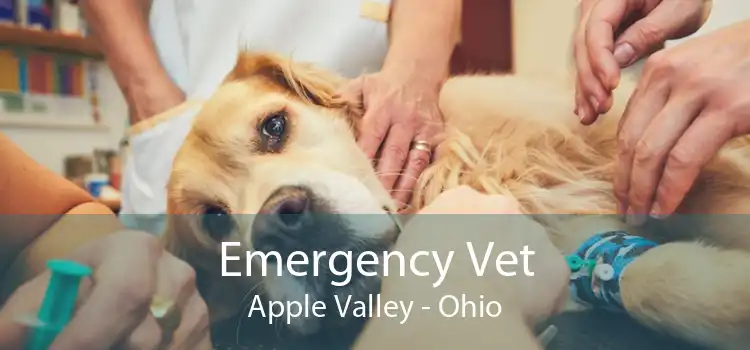 Emergency Vet Apple Valley - Ohio