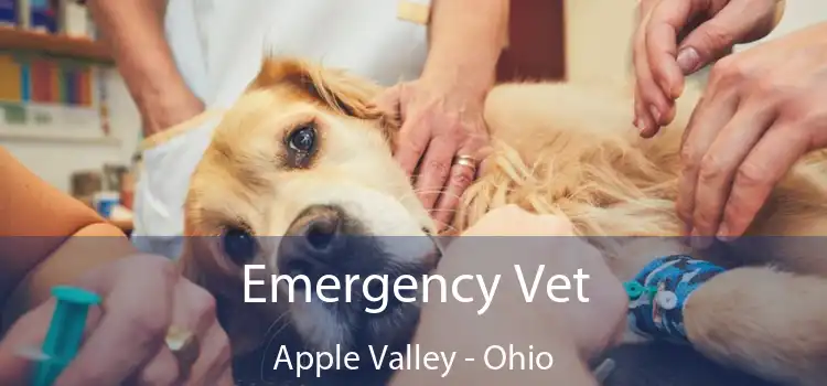 Emergency Vet Apple Valley - Ohio