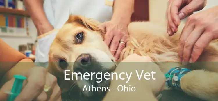 Emergency Vet Athens - Ohio