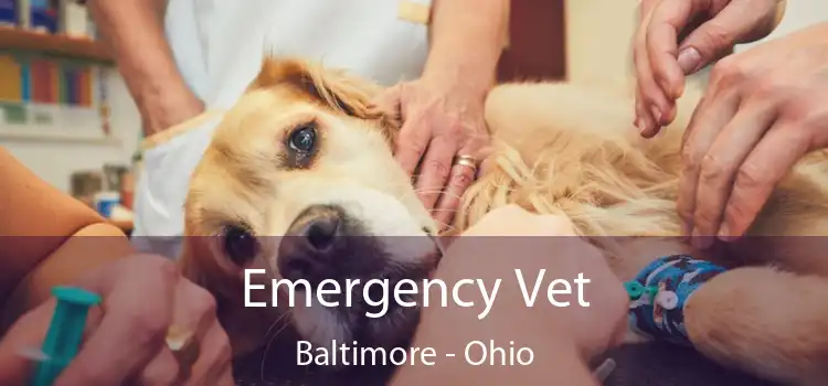 Emergency Vet Baltimore - Ohio