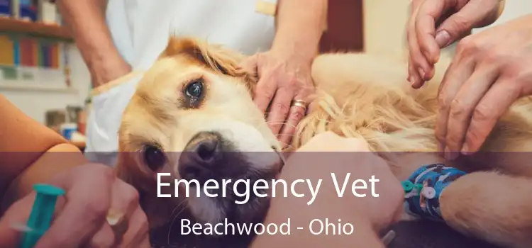 Emergency Vet Beachwood - Ohio