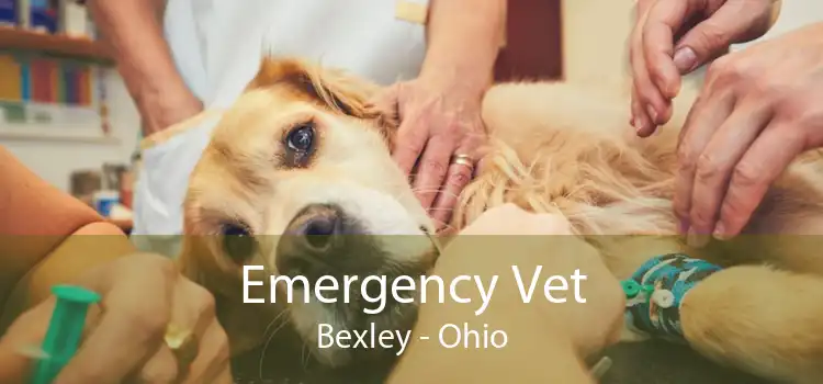 Emergency Vet Bexley - Ohio