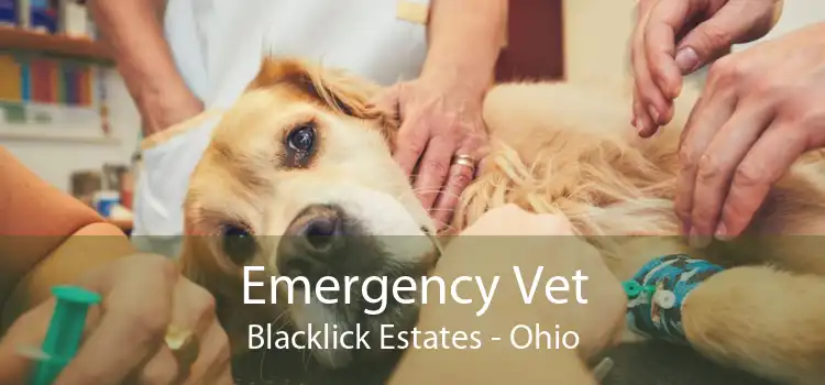 Emergency Vet Blacklick Estates - Ohio