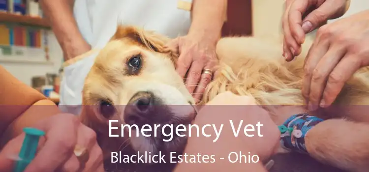 Emergency Vet Blacklick Estates - Ohio