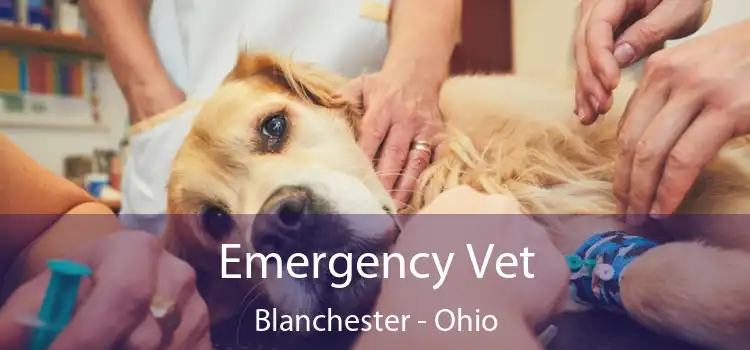 Emergency Vet Blanchester - Ohio