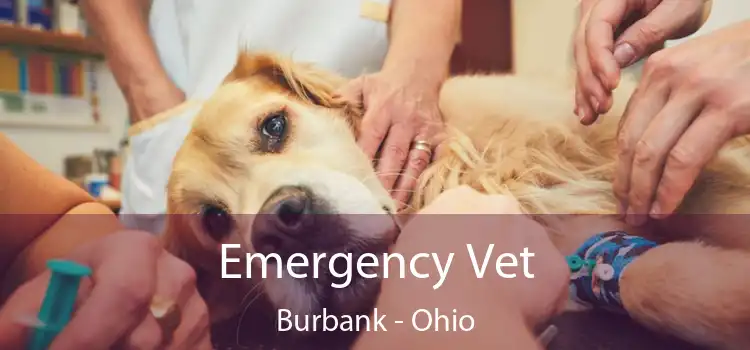 Emergency Vet Burbank - Ohio