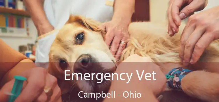 Emergency Vet Campbell - Ohio