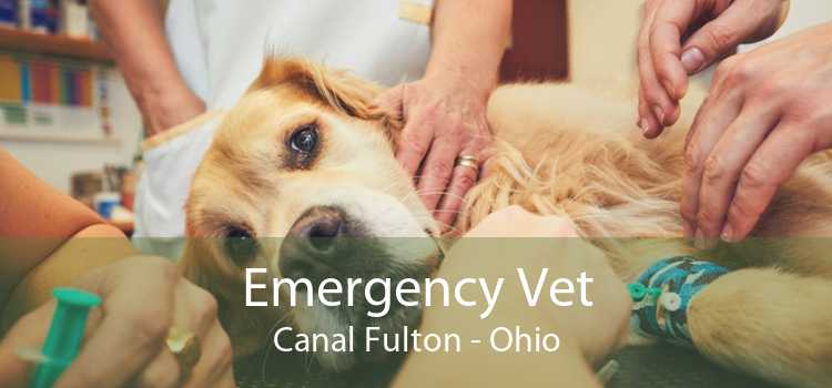 Emergency Vet Canal Fulton - Ohio