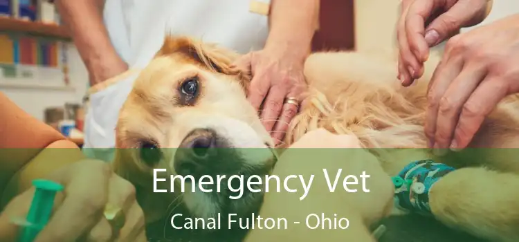 Emergency Vet Canal Fulton - Ohio