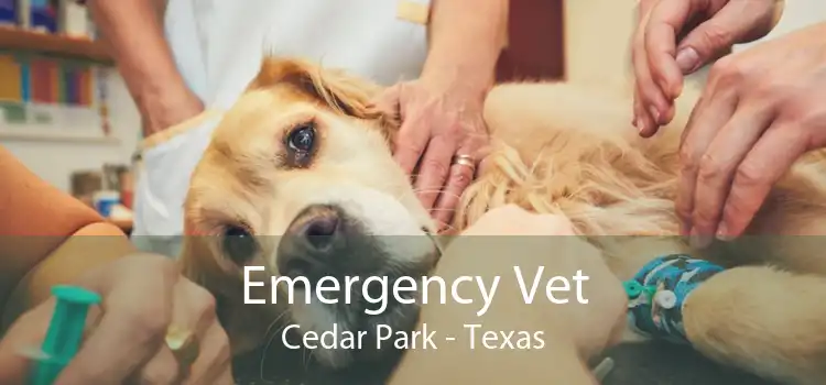 Emergency Vet Cedar Park - Texas
