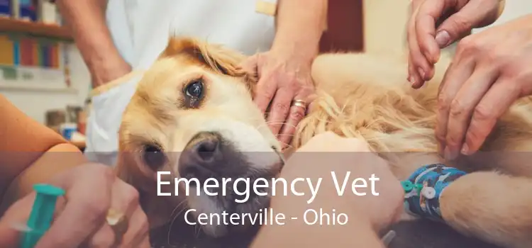 Emergency Vet Centerville - Ohio