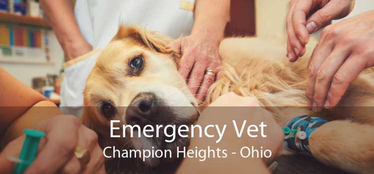 Emergency Vet Champion Heights - Ohio