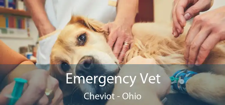 Emergency Vet Cheviot - Ohio