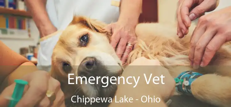 Emergency Vet Chippewa Lake - Ohio