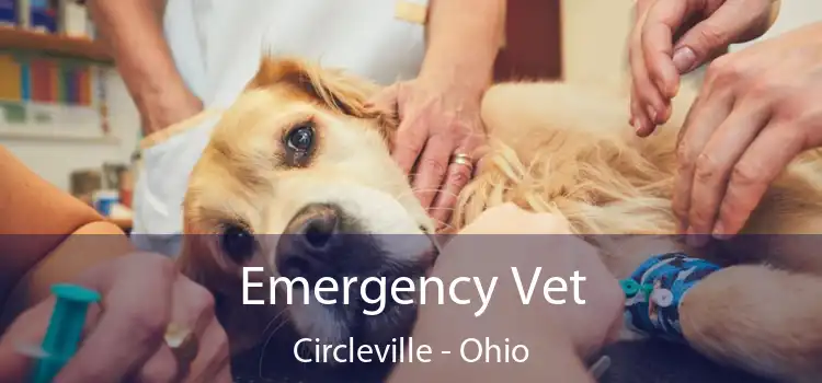 Emergency Vet Circleville - Ohio