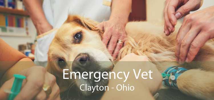 Emergency Vet Clayton - Ohio