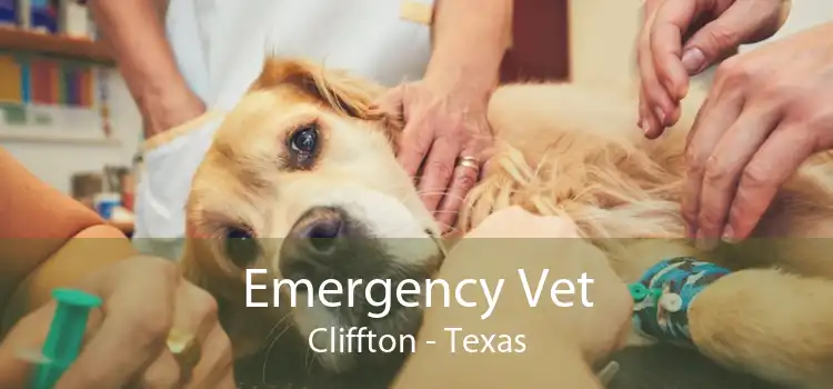 Emergency Vet Cliffton - Texas