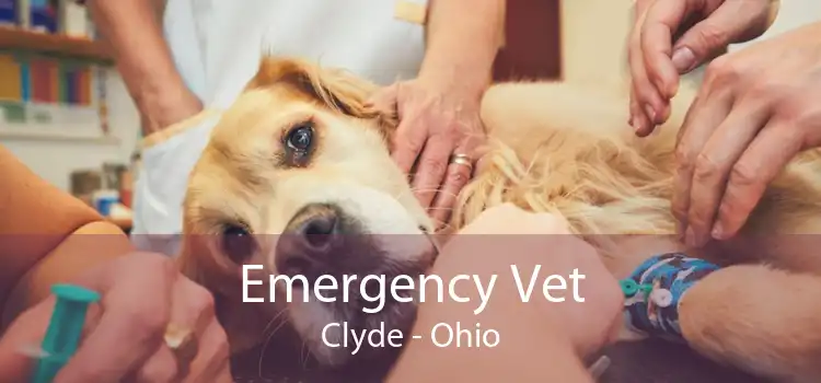 Emergency Vet Clyde - Ohio