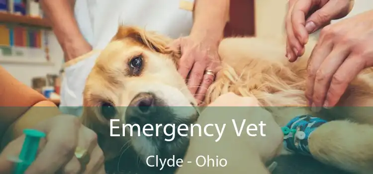 Emergency Vet Clyde - Ohio