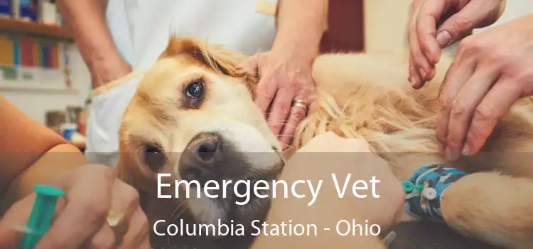 Emergency Vet Columbia Station - Ohio