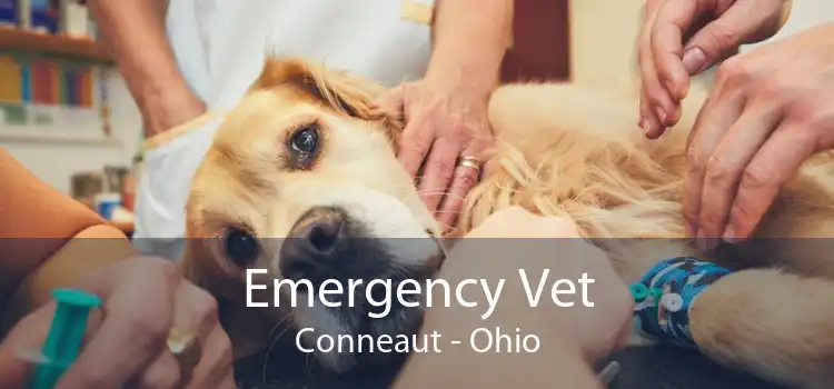 Emergency Vet Conneaut - Ohio