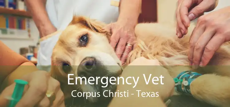 Emergency Vet Corpus Christi - Texas