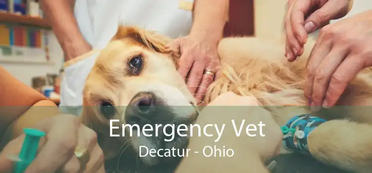 Emergency Vet Decatur - Ohio