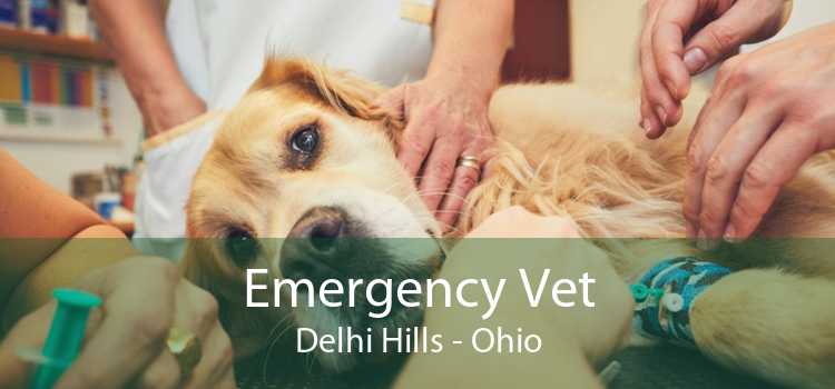 Emergency Vet Delhi Hills - Ohio