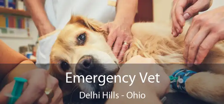 Emergency Vet Delhi Hills - Ohio