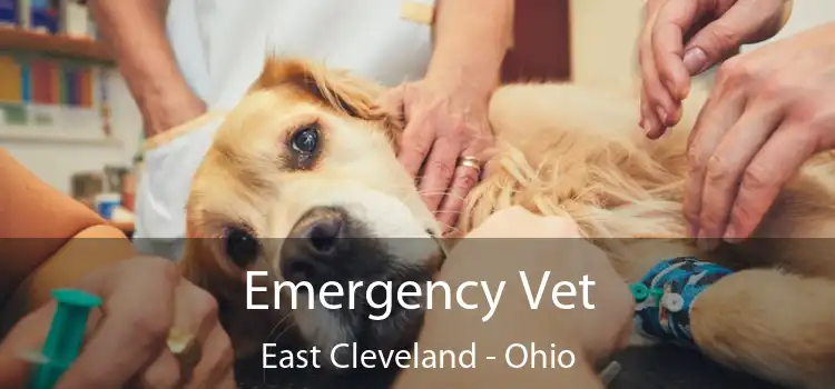 Emergency Vet East Cleveland - Ohio