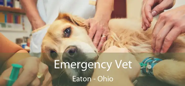 Emergency Vet Eaton - Ohio