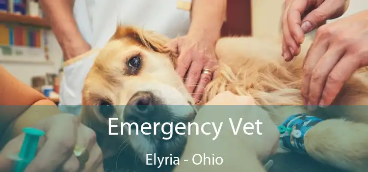 Emergency Vet Elyria - Ohio