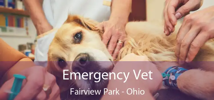 Emergency Vet Fairview Park - Ohio