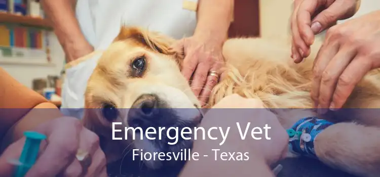 Emergency Vet Fioresville - Texas