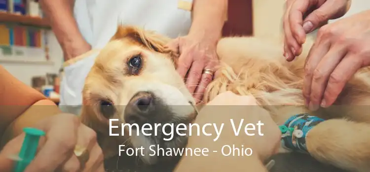 Emergency Vet Fort Shawnee - Ohio